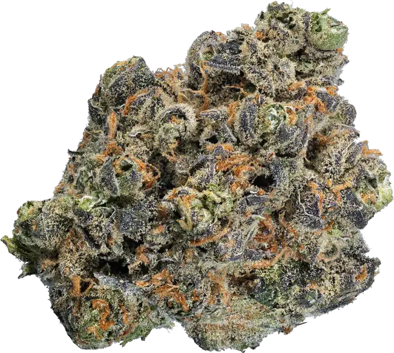 Sweets (Guava Gelato x Karma Sour Diesel BX2)