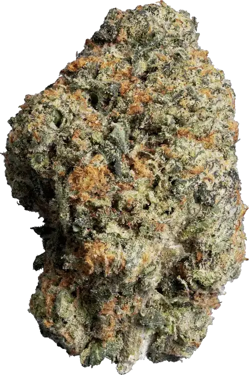 Jet Fuel Gelato