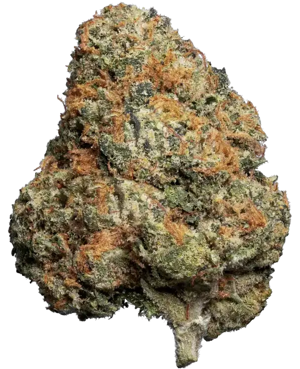 Ultra Sour