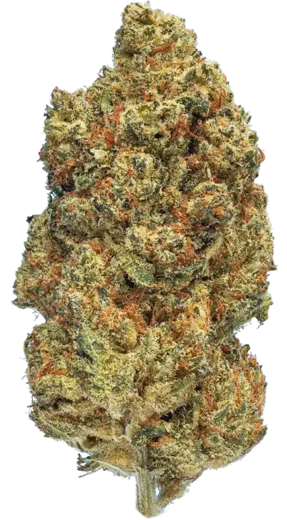 Pink Kush