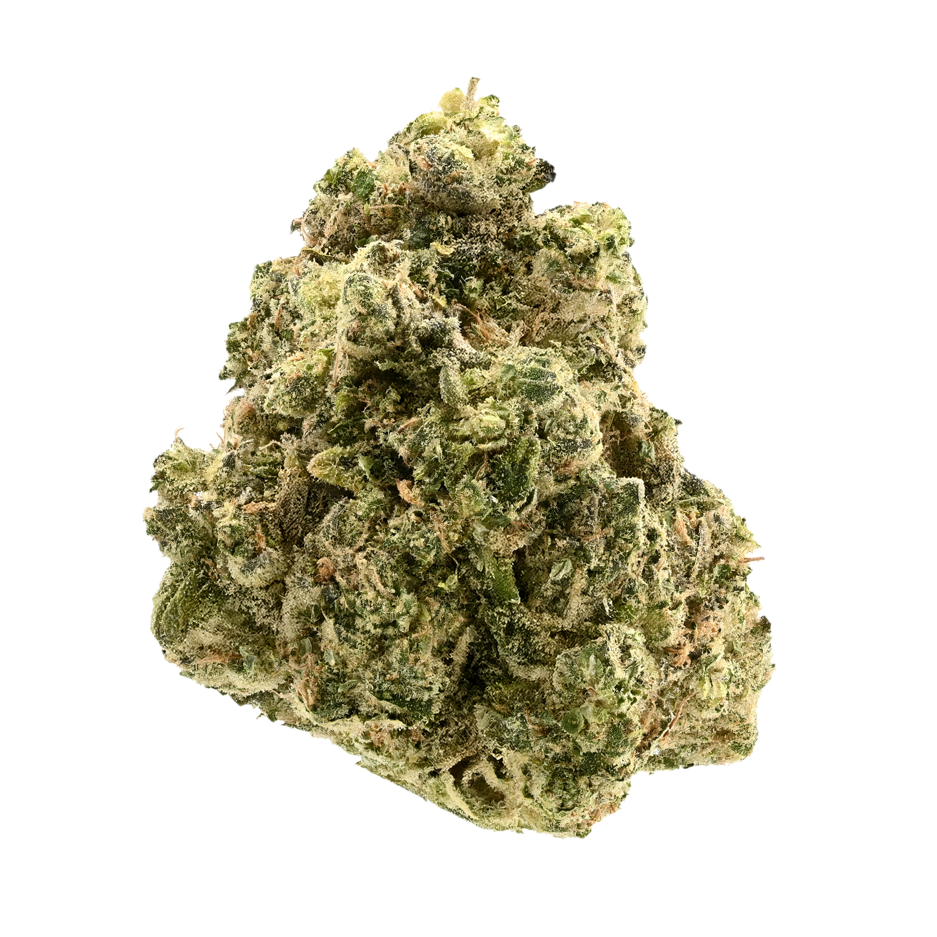 Jet Fuel x Garlic Cookies