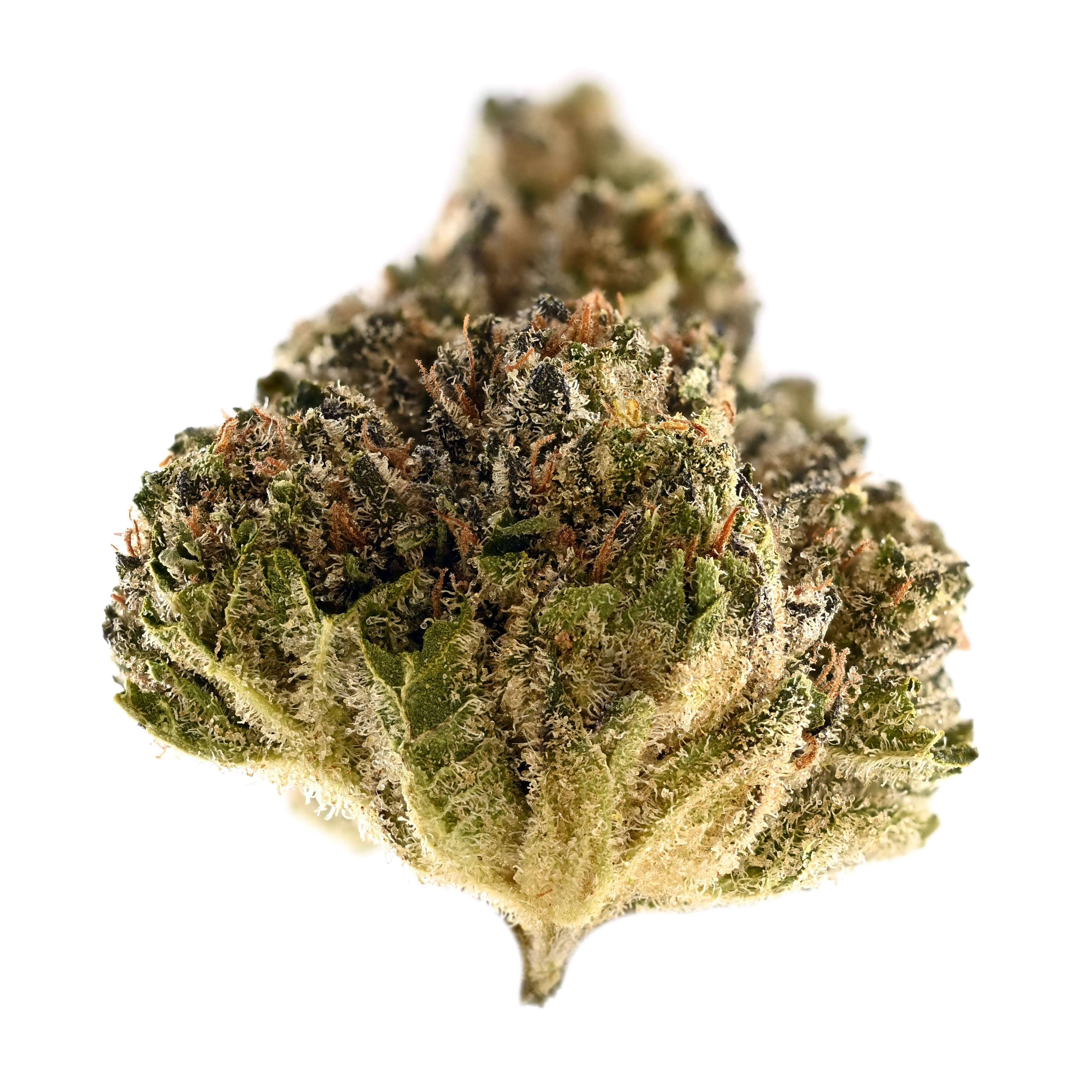 Crumbled Lime #27