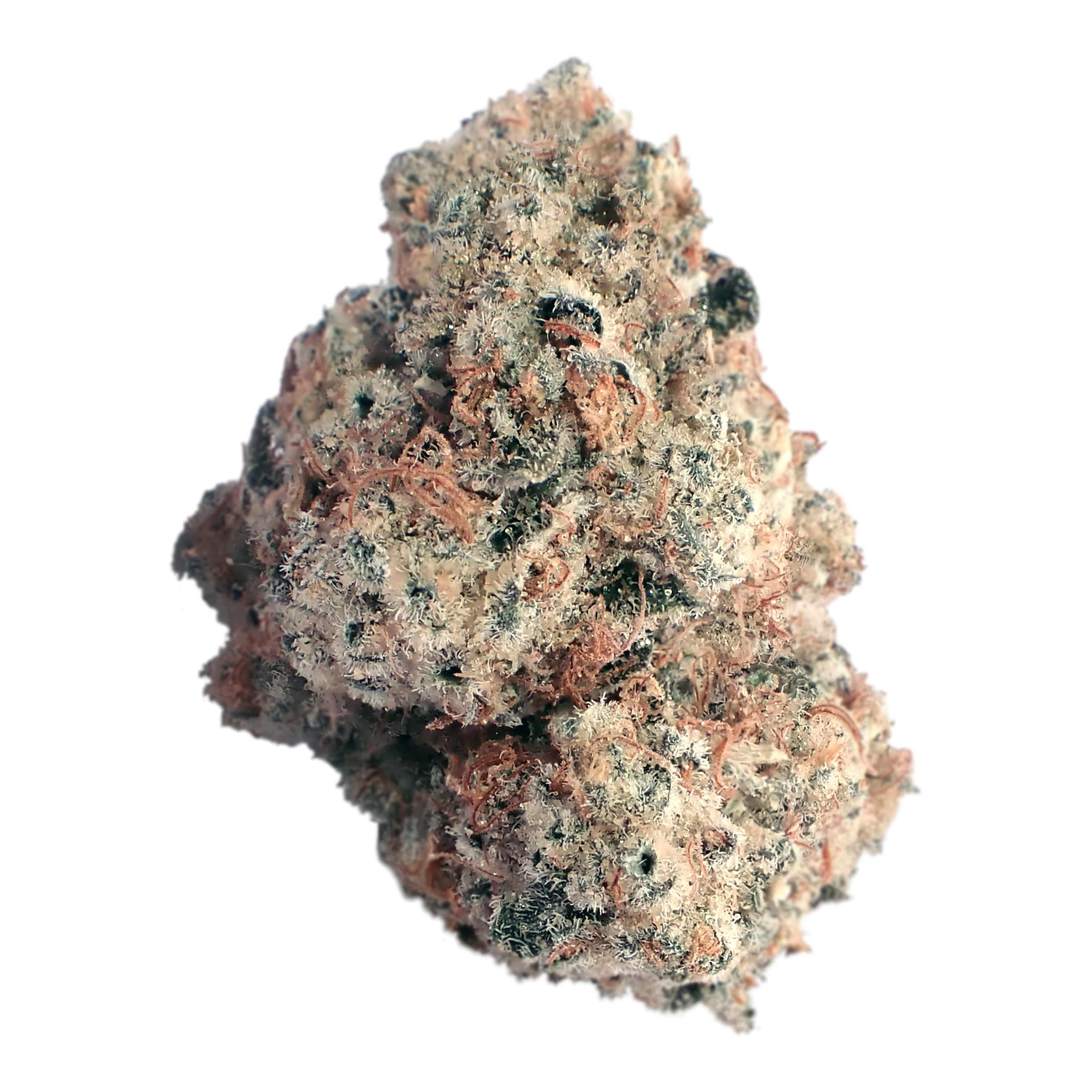 Lava Cake