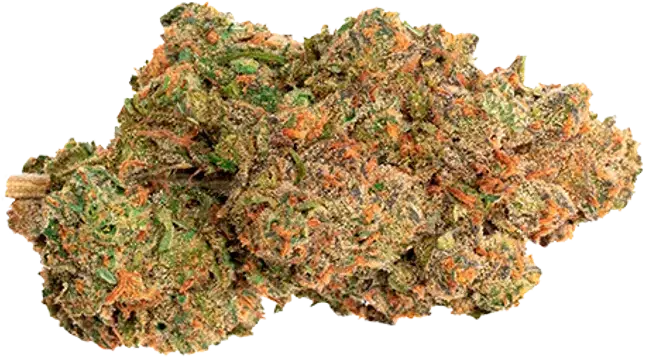 Pineapple Nuken
