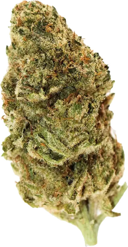 Tropic Thunder