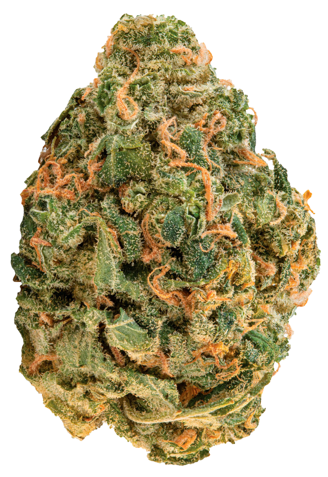 OG Lime Kush