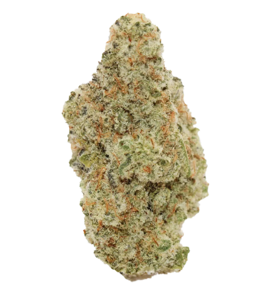 All Nations MD PT Mac Daddy product photo