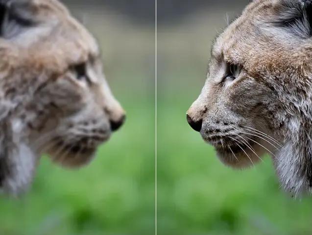 Photo Restoration