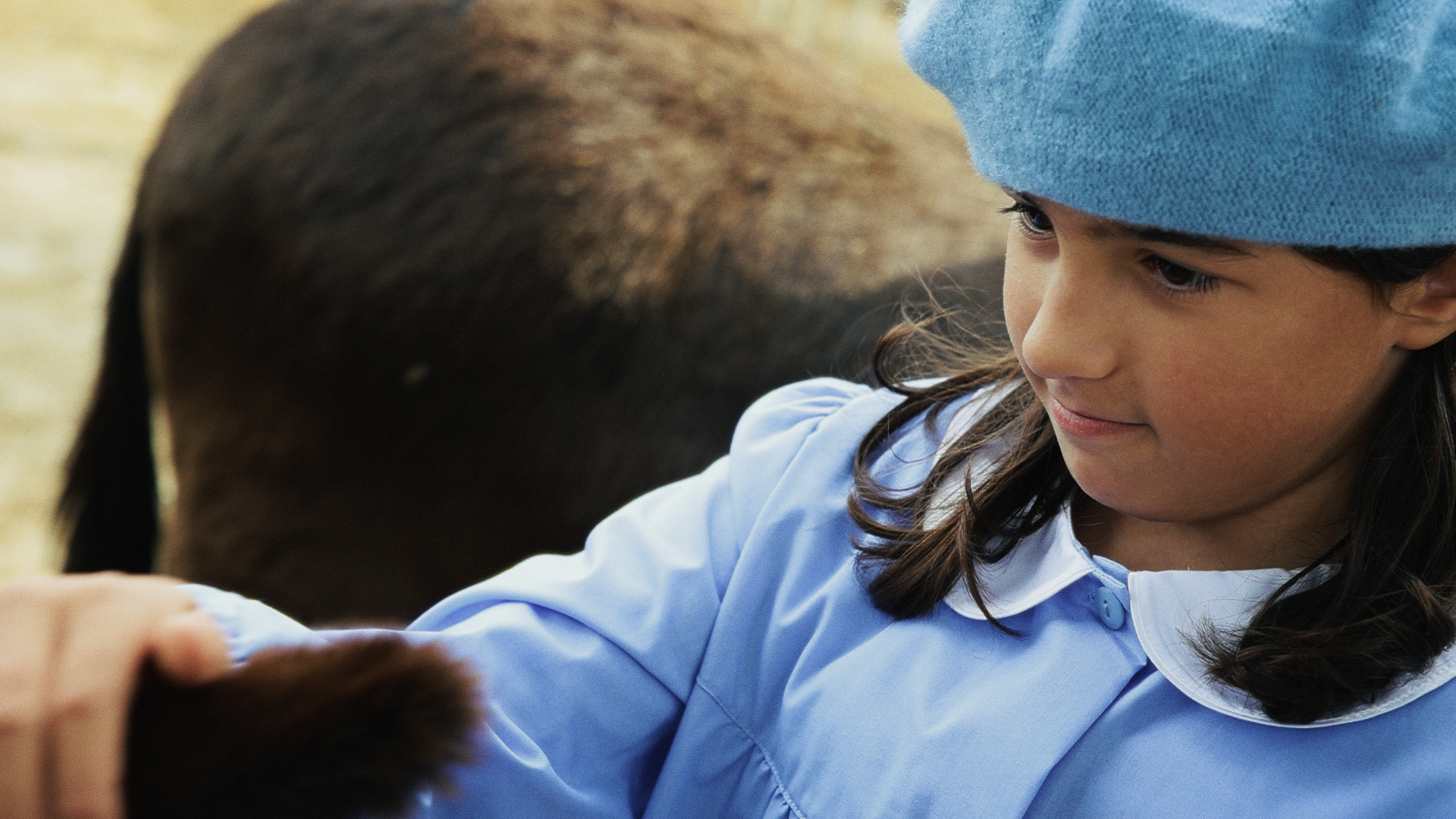 Fattoria Didattica Bellotti - 5