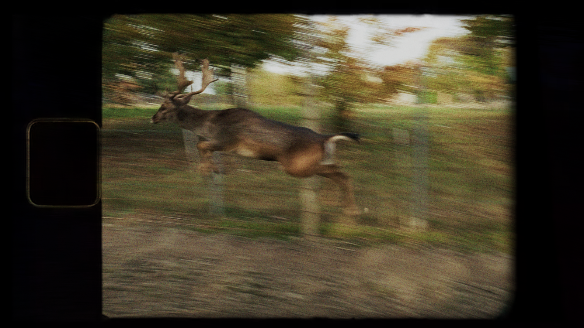 Fattoria Didattica Bellotti - 4