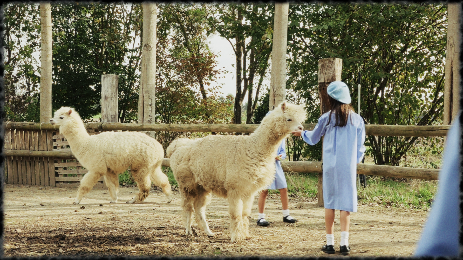 Fattoria Didattica Bellotti - 6