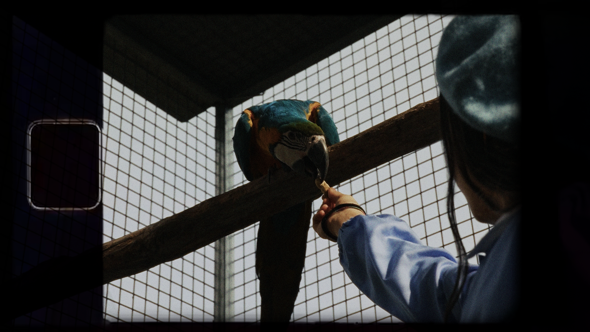 Fattoria Didattica Bellotti - 3