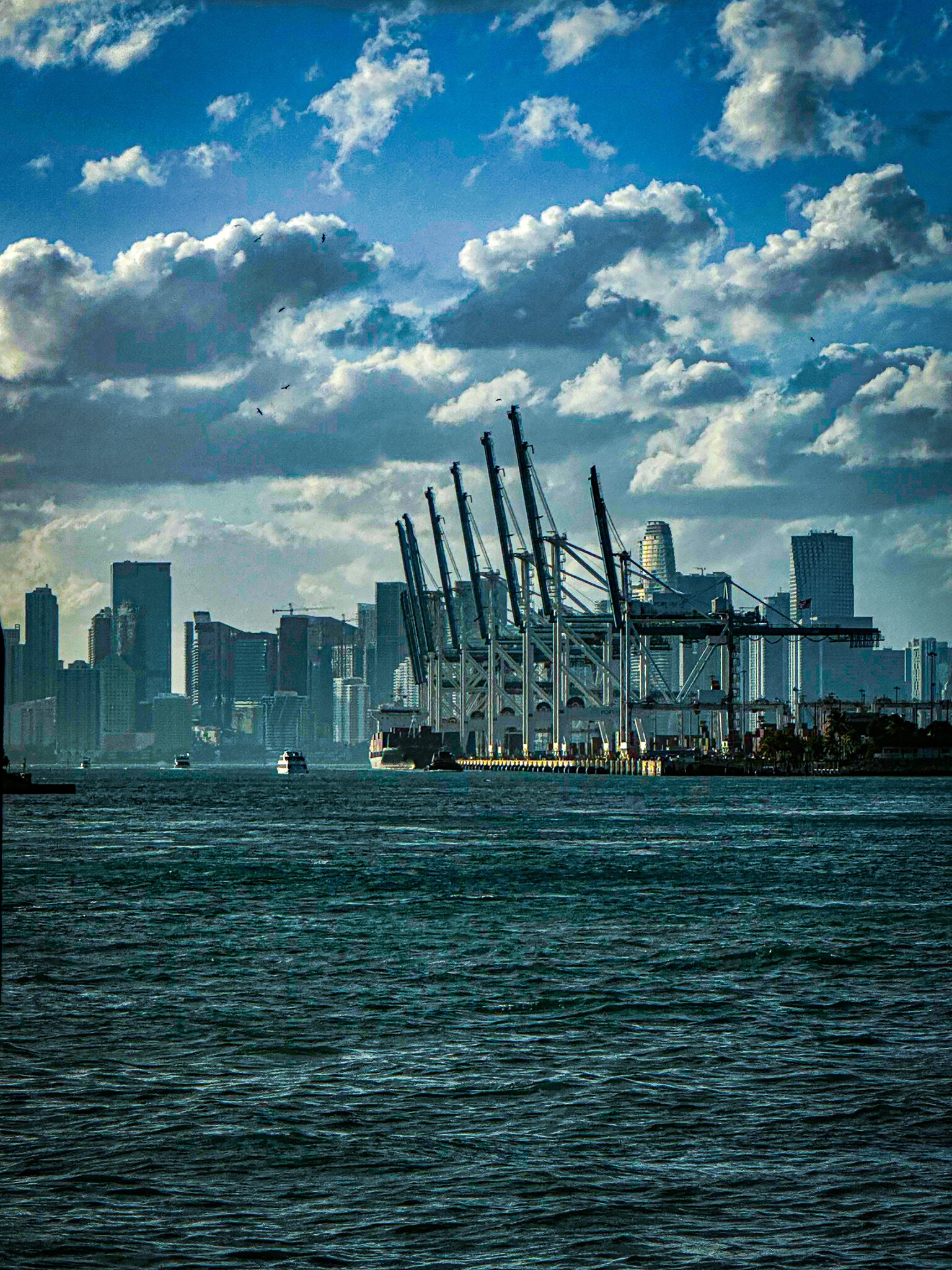 South Pointe Park — Photo by dylan freedman