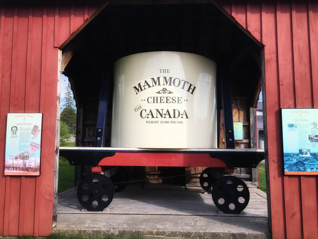 Mammoth Cheese