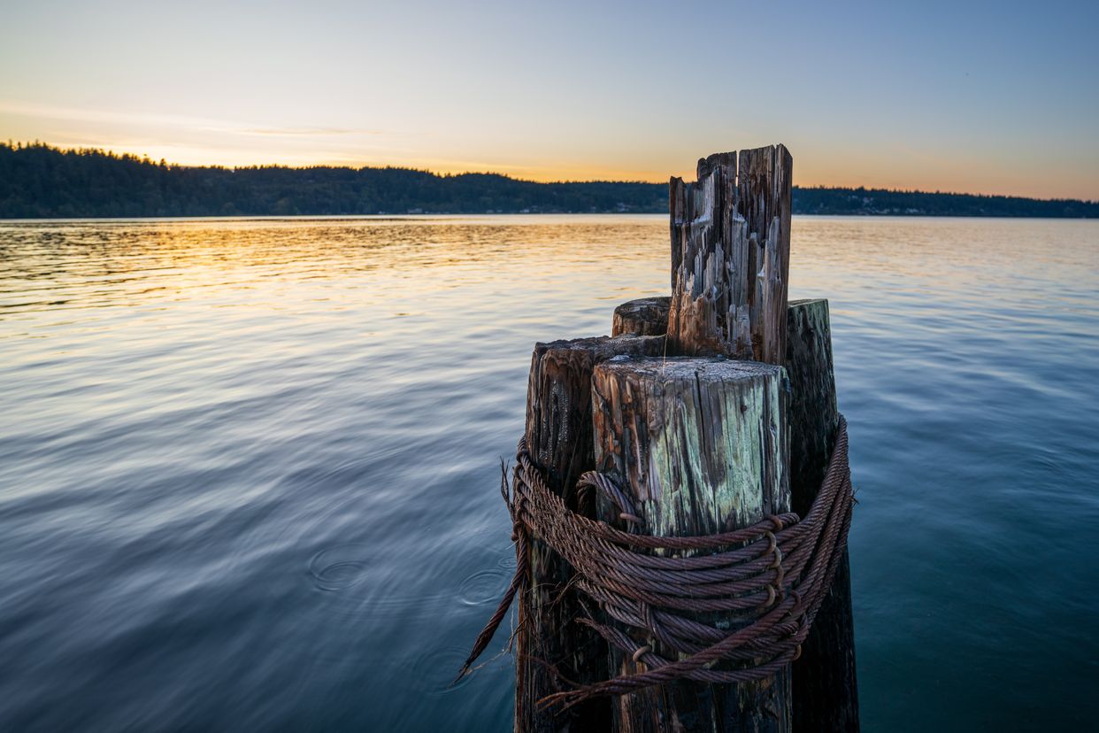Point White Shoreline