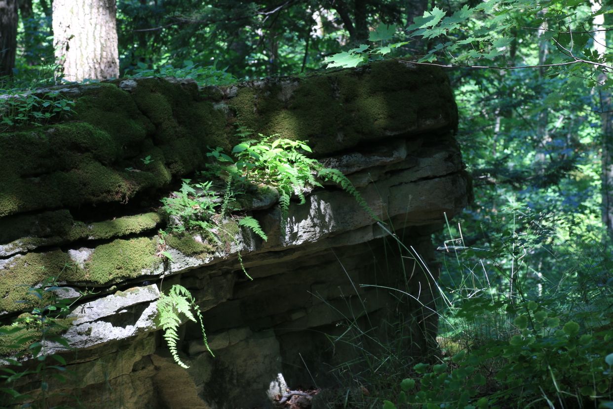 Dundas Valley Conservation Area