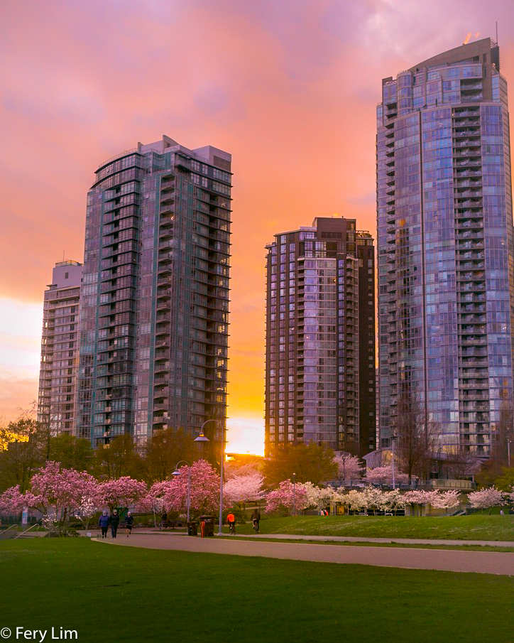 David Lam Park — Photo by fery_lim85