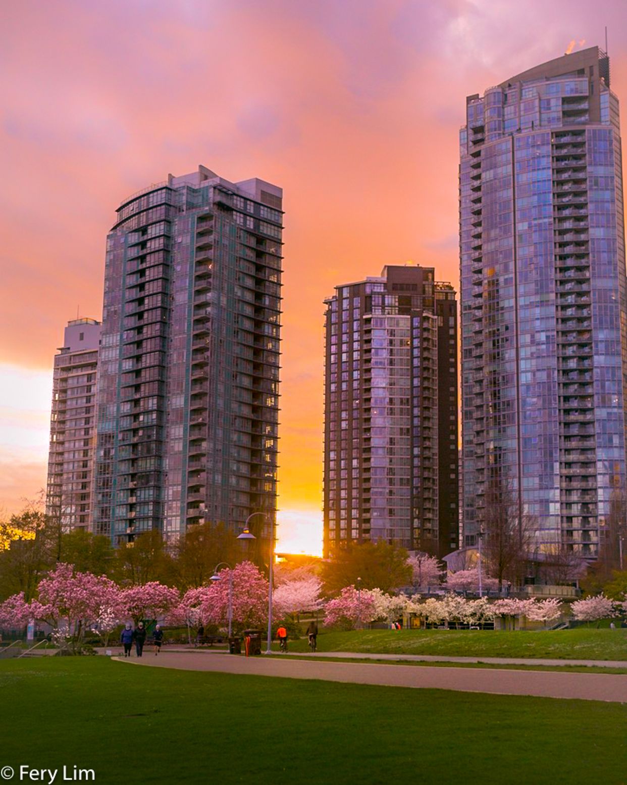 David Lam Park