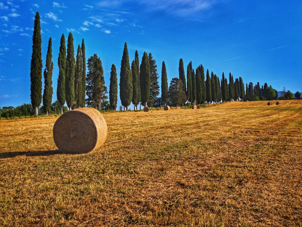 Casole Countryside