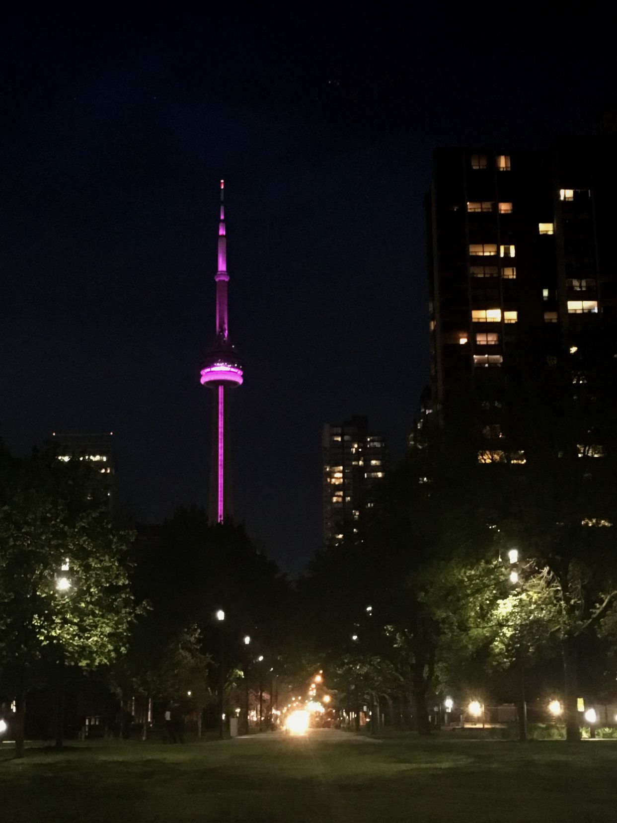 View of CN Tower from Grange Park