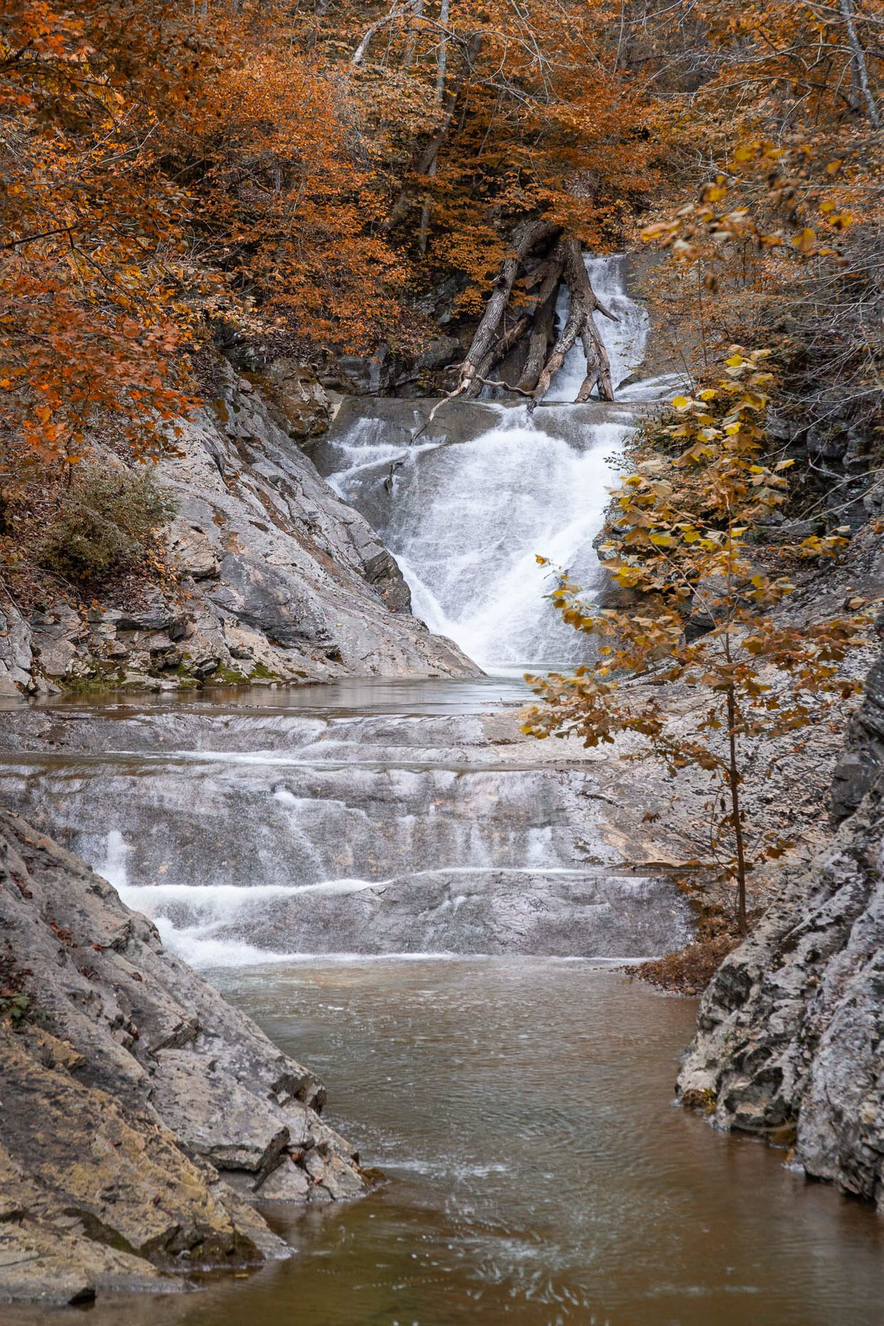 Lace Falls