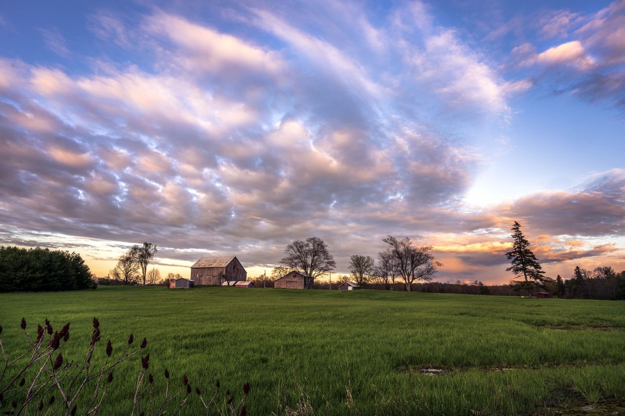 Camden Lake Farm
