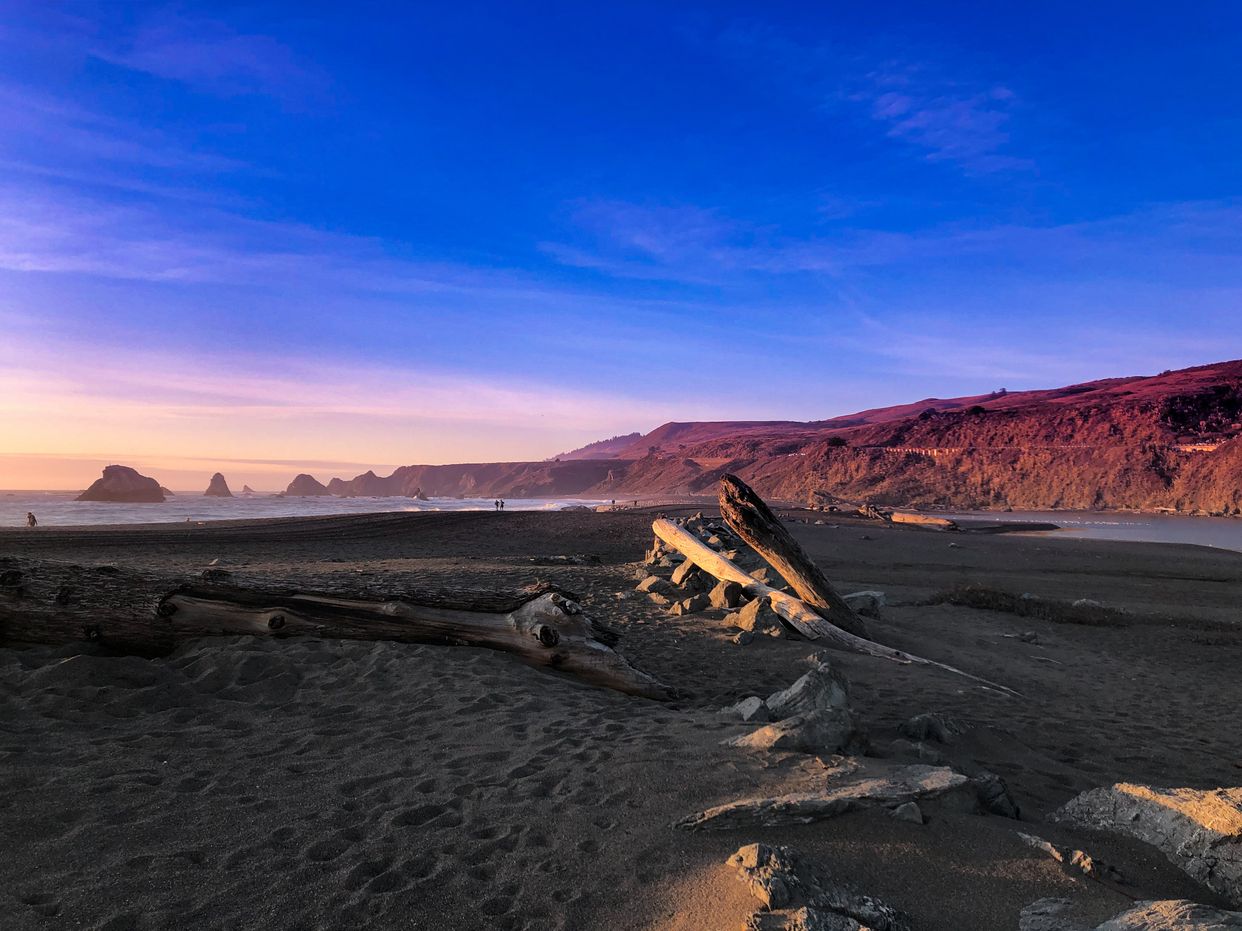 Goat Rock Beach