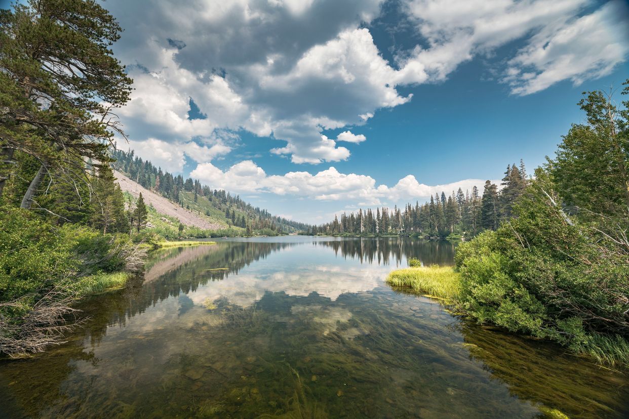 Twin Lakes