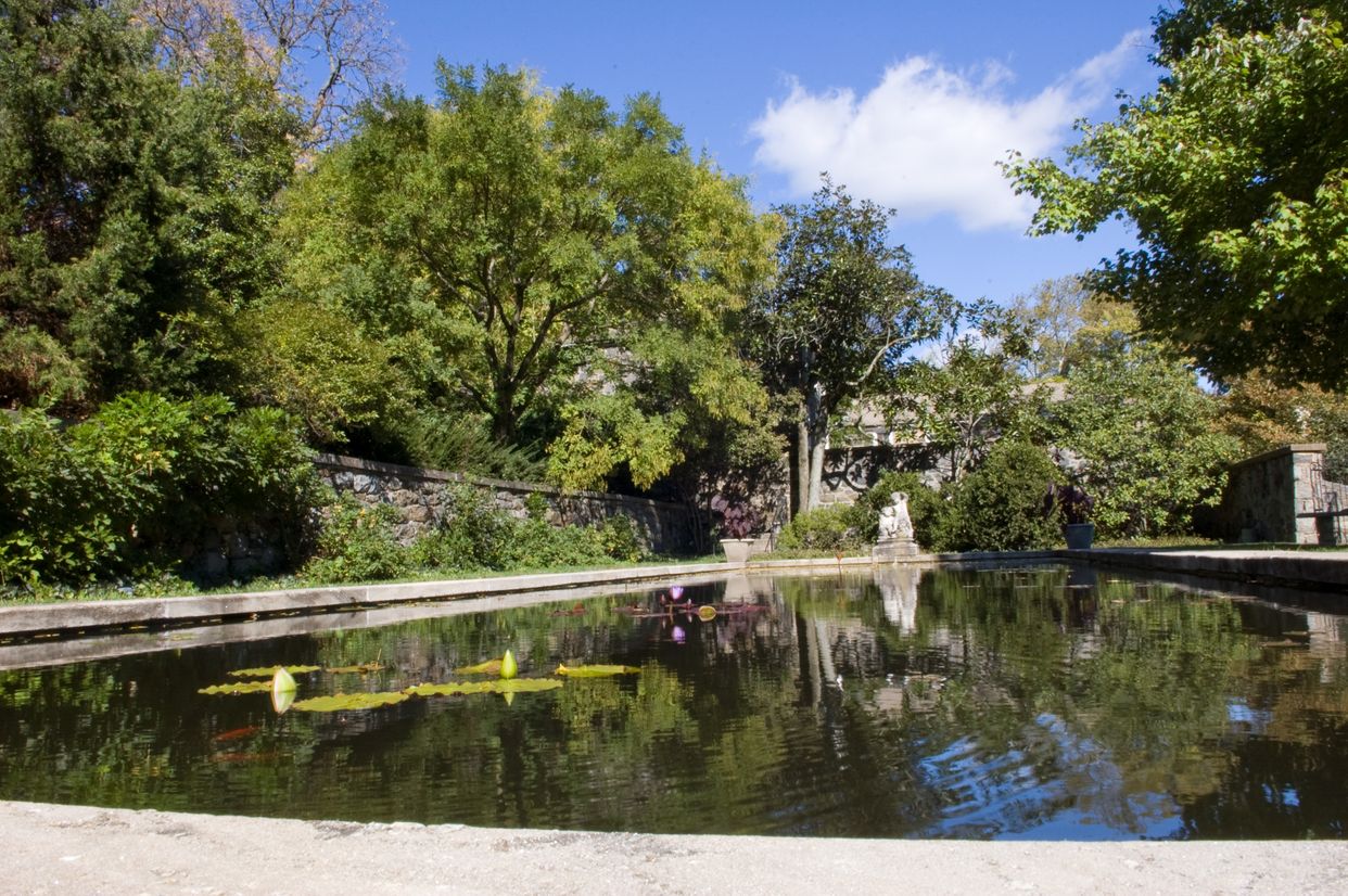 Reflecting Pool