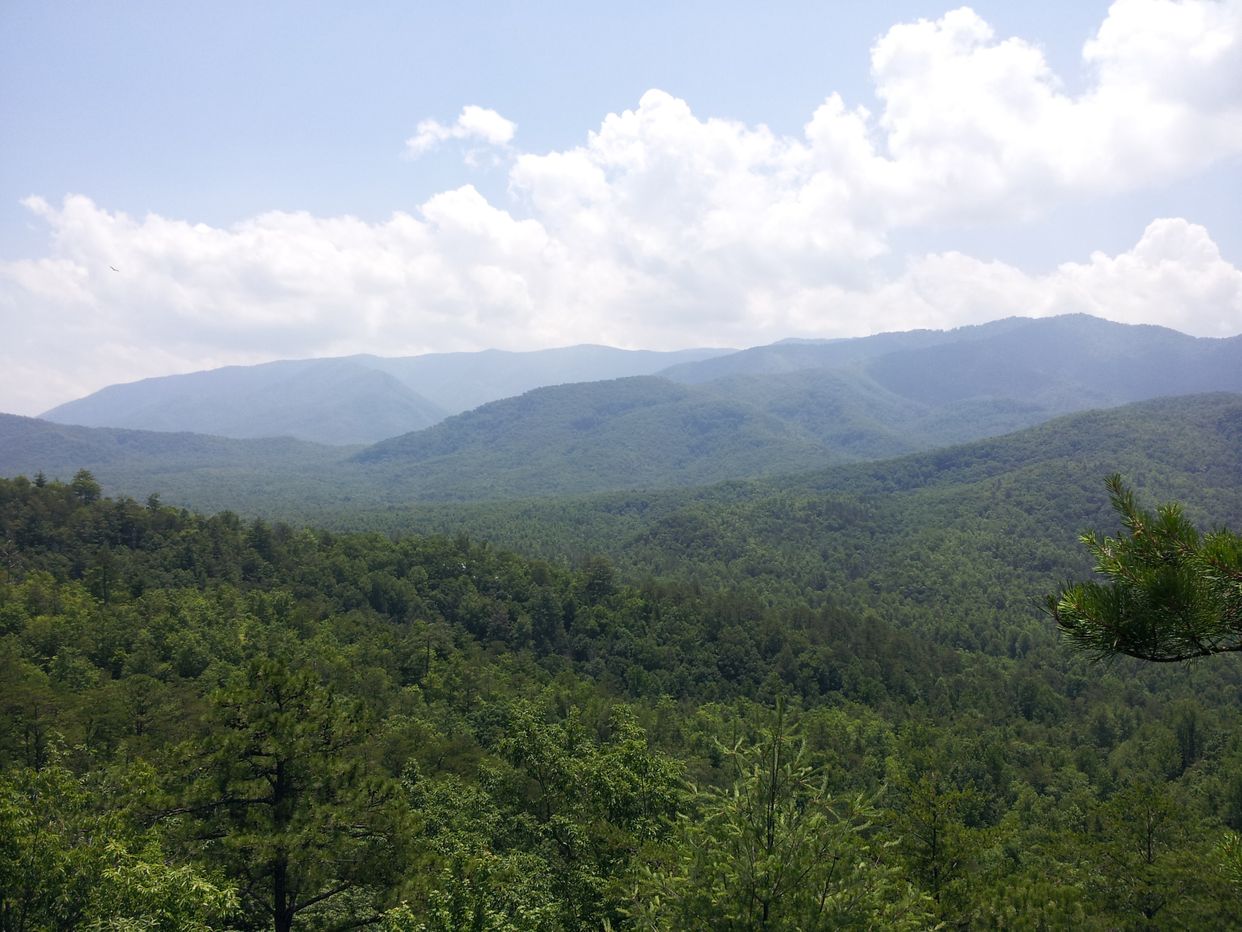 The Smokies