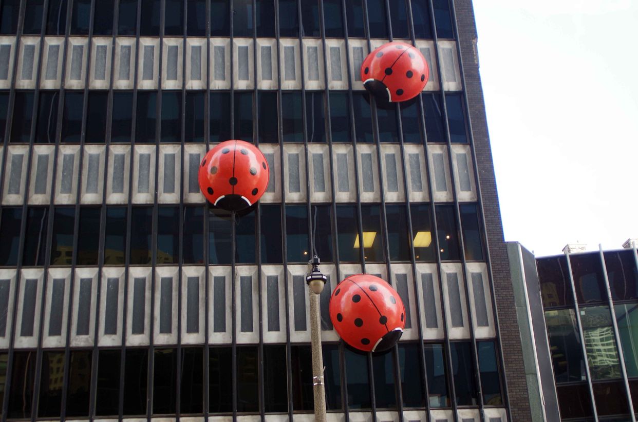 Ladybug Building
