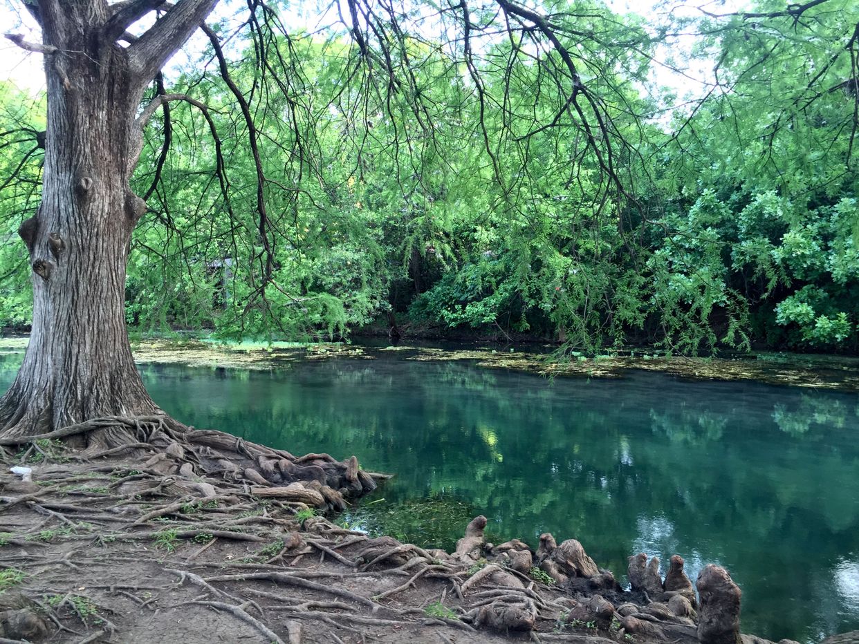 San Marcos River