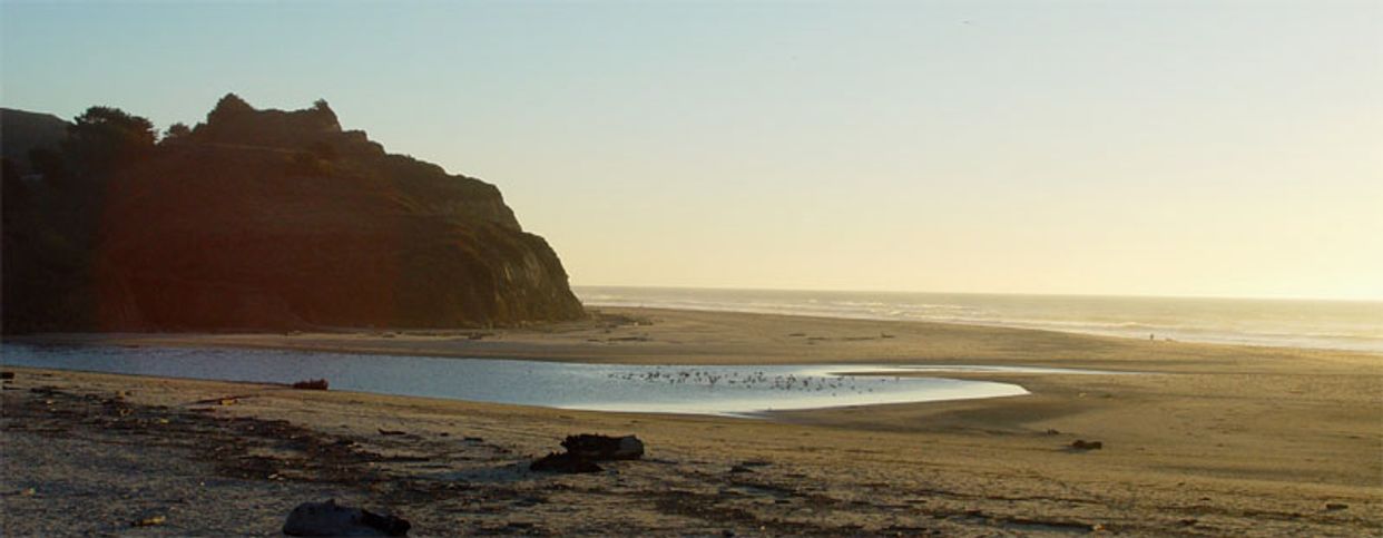 San Gregorio Beach