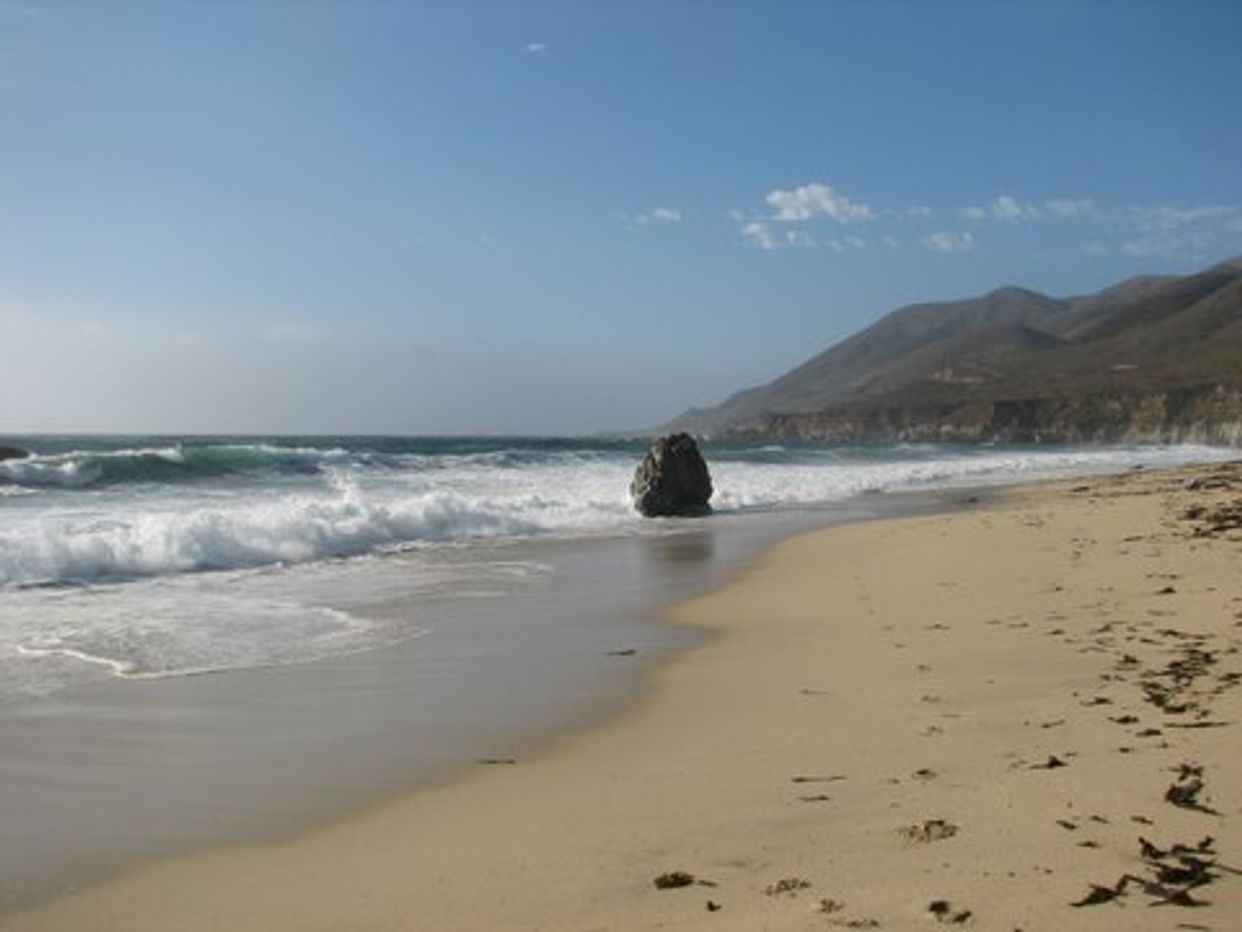 Garrapata Beach