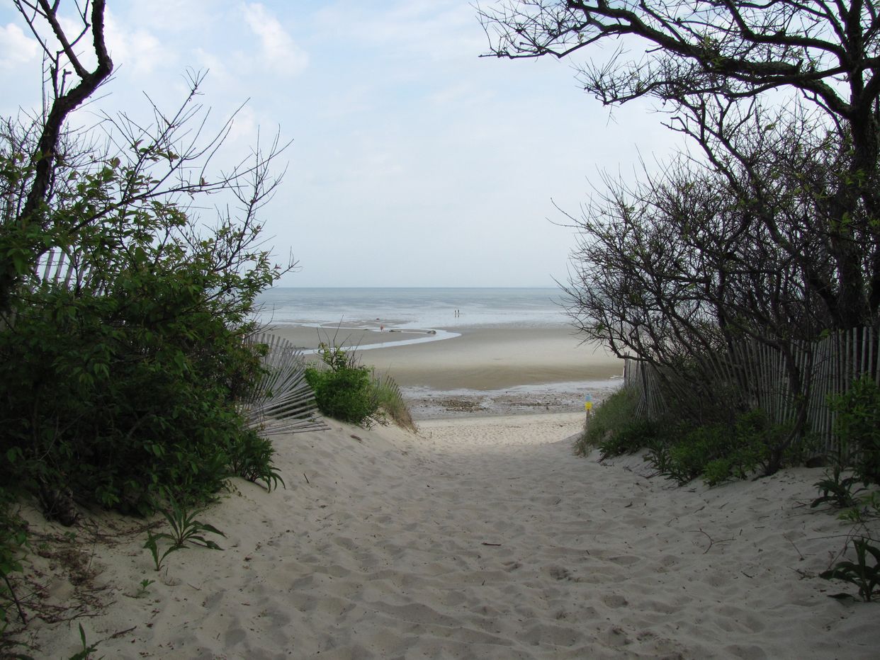 Cape Cod Sea Camps