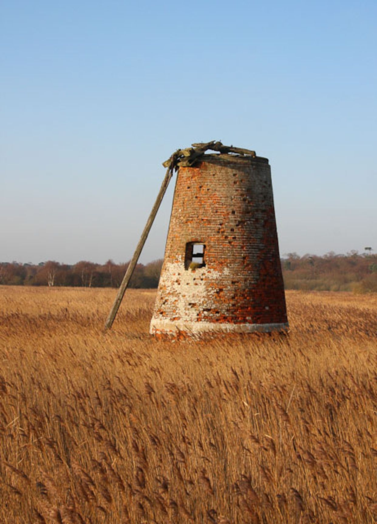 Westwood Marshes Mill