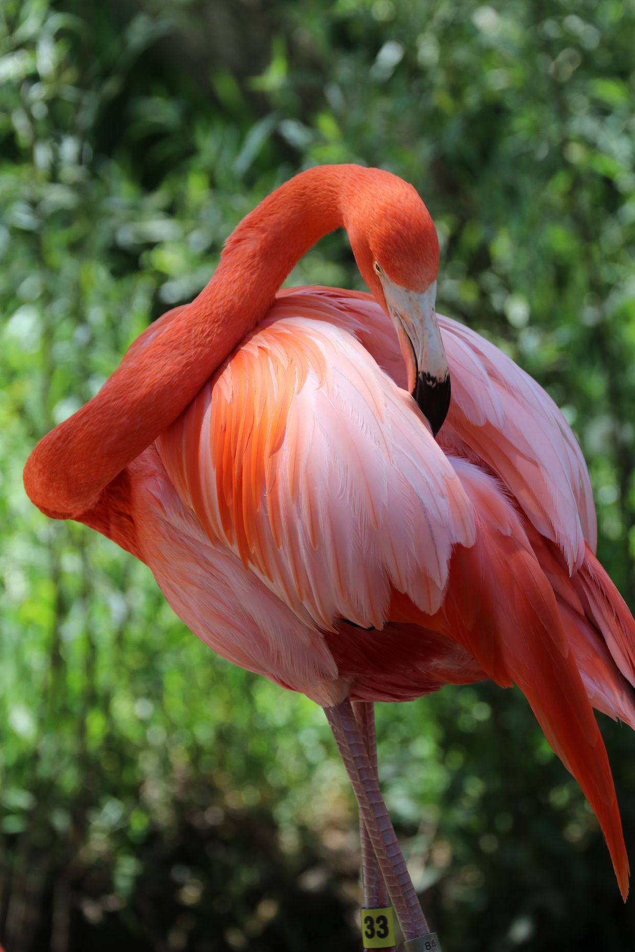 Sacramento Zoo