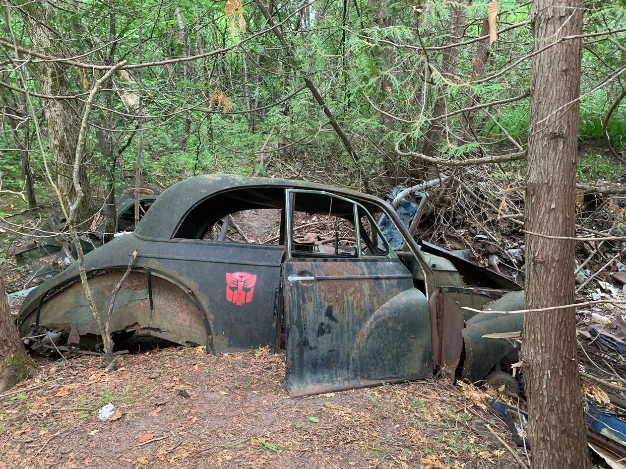 Abandoned Car Graveyard