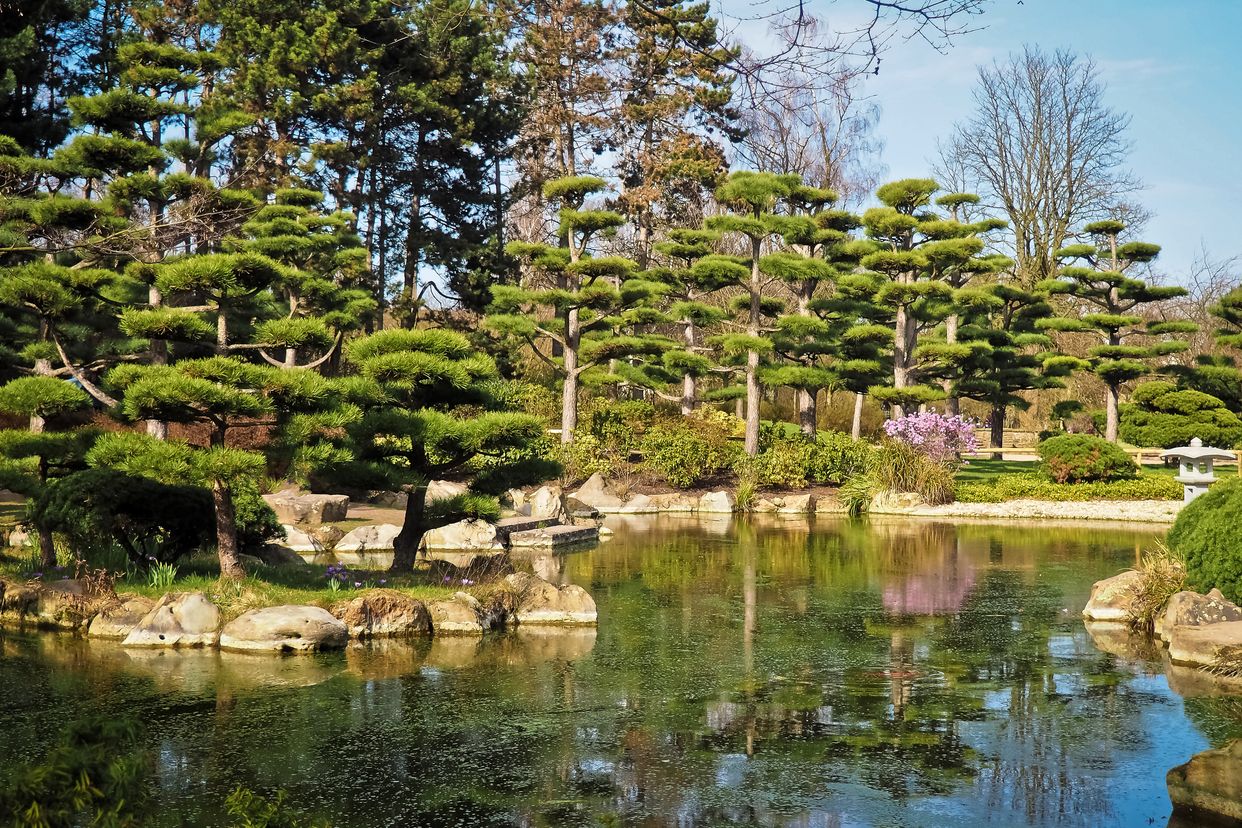 Cedar Lakes Woods and Gardens