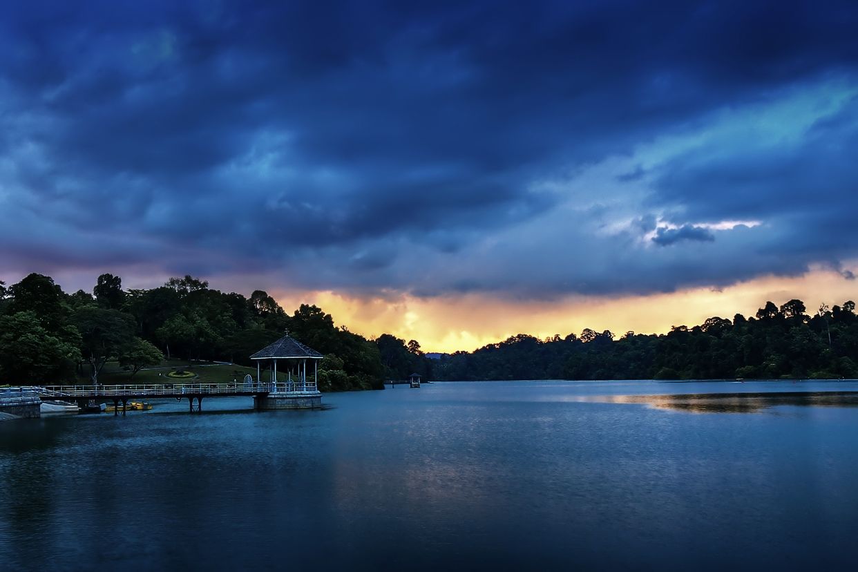 MacRitchie Reservoir