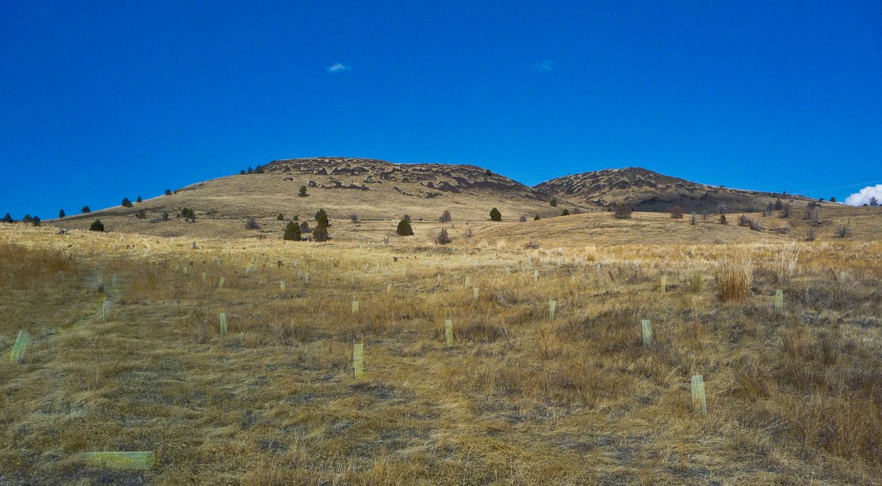  Klamath Hills 