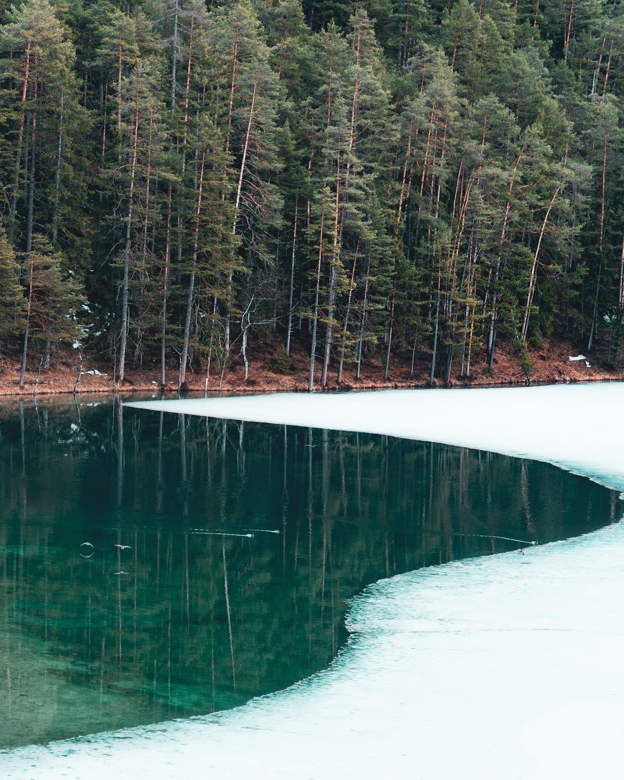 Fernsteinsee