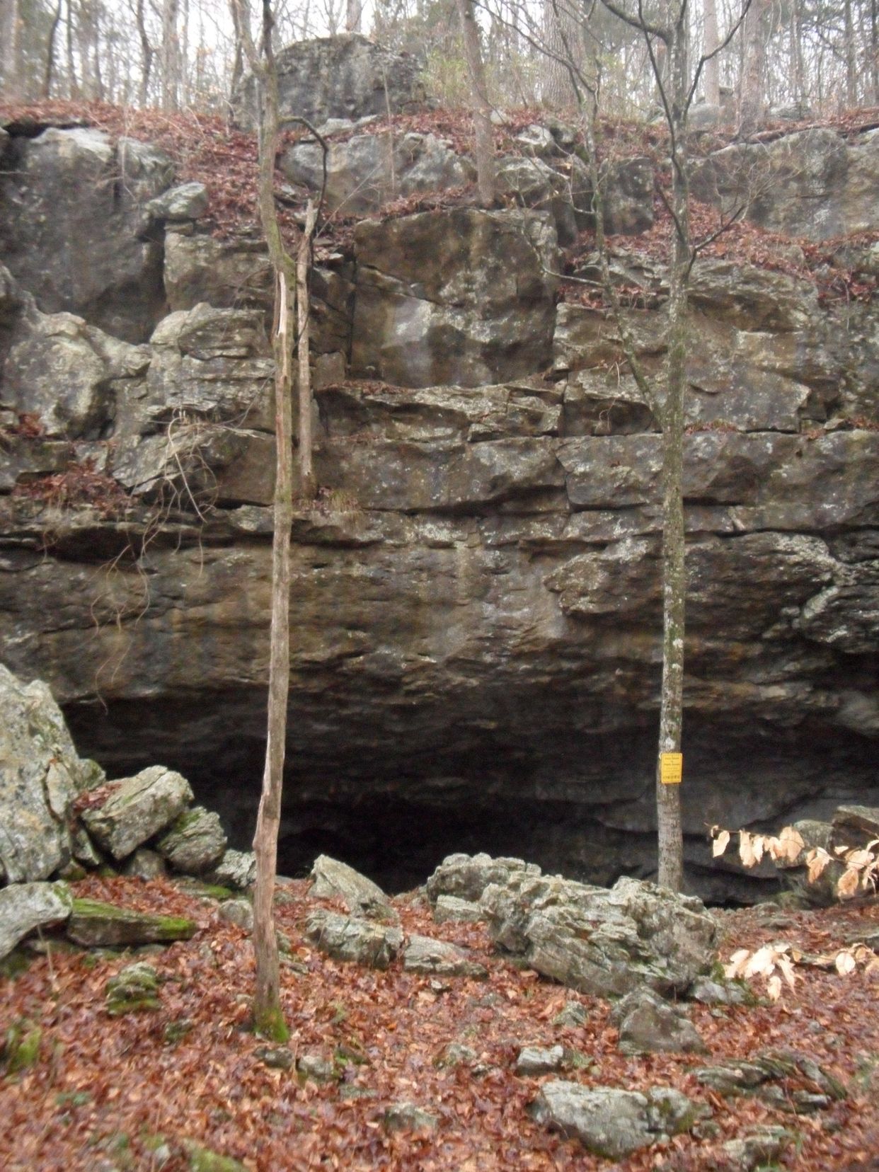 Lost Cove Cave