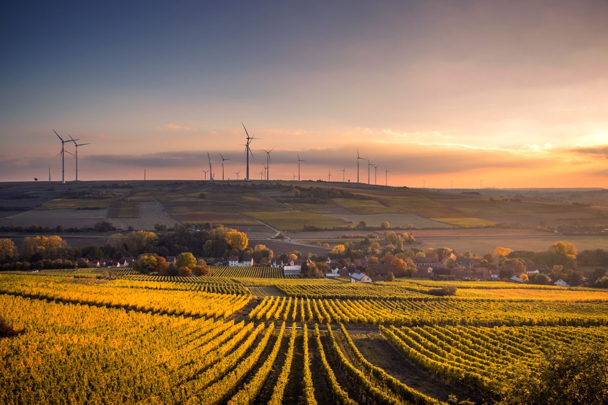 Mölsheim Countryside