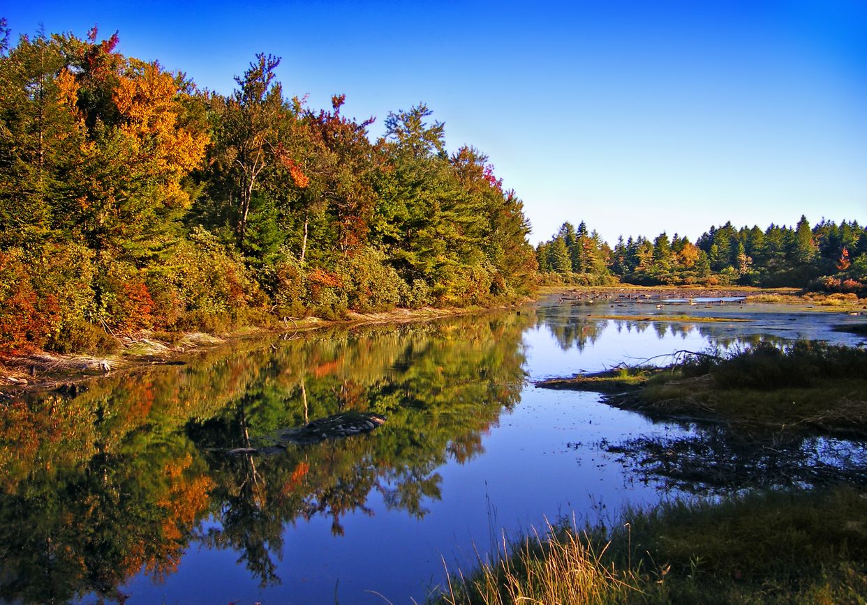 Lost Lake