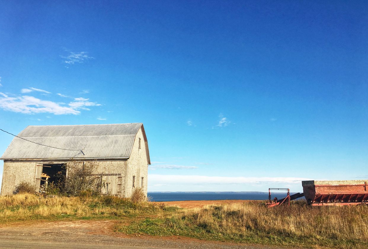 Abandoned Barn 
