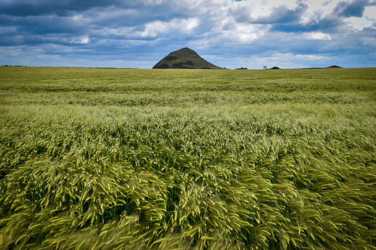 View of North Berwick Law