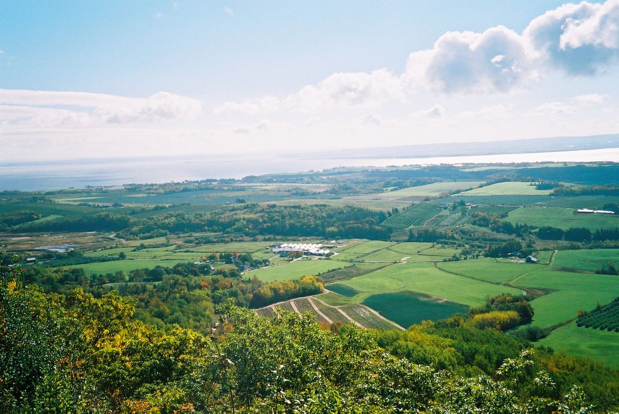 Blomidon Lookoff