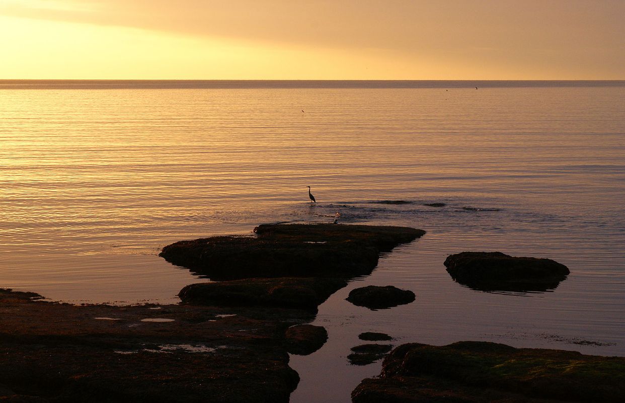 Marine Parade View