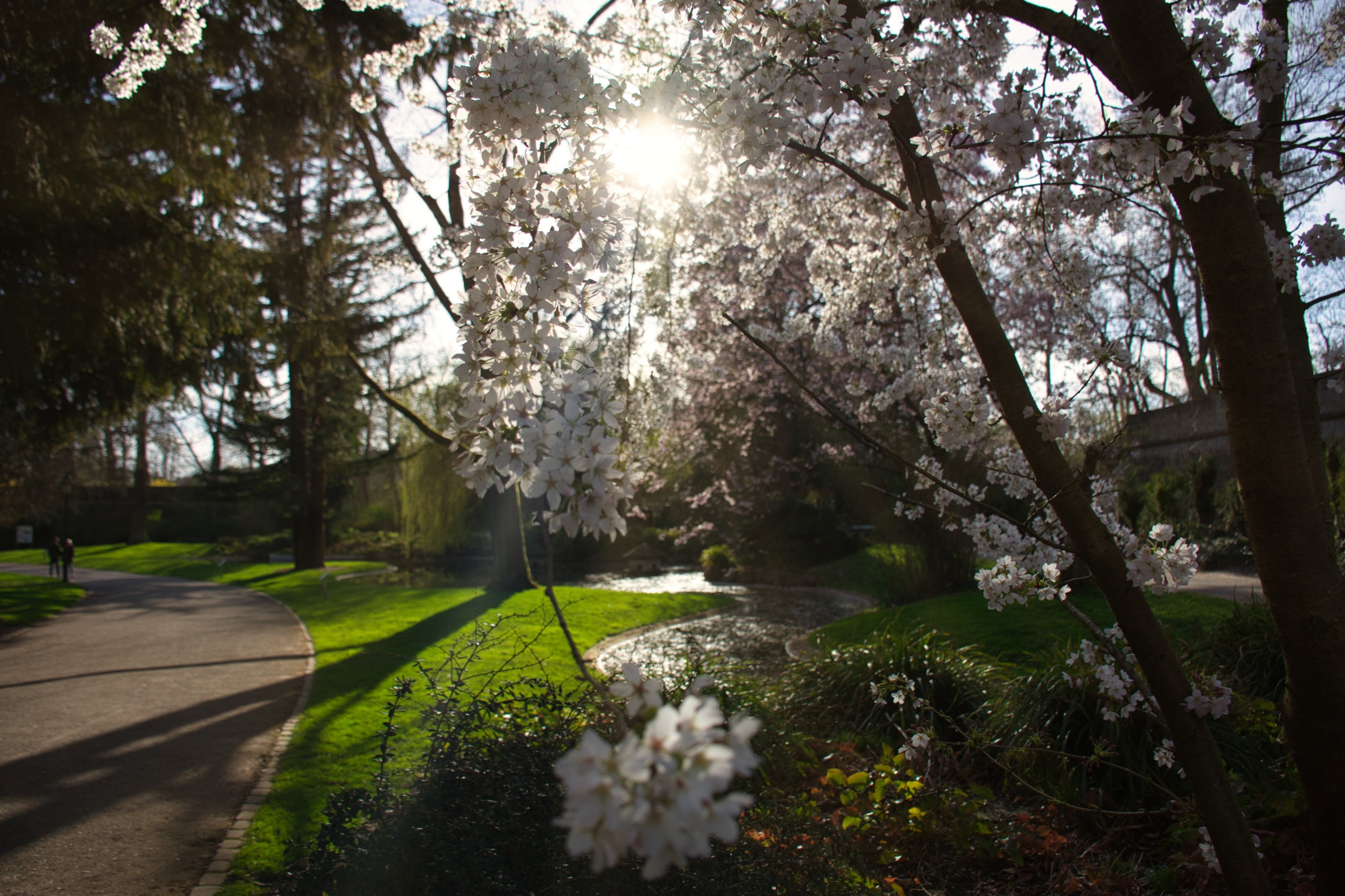 Klein Nizza (Ringpark) — Photo by lukasdor.com